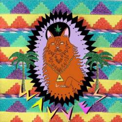 Wavves : King of the Beach